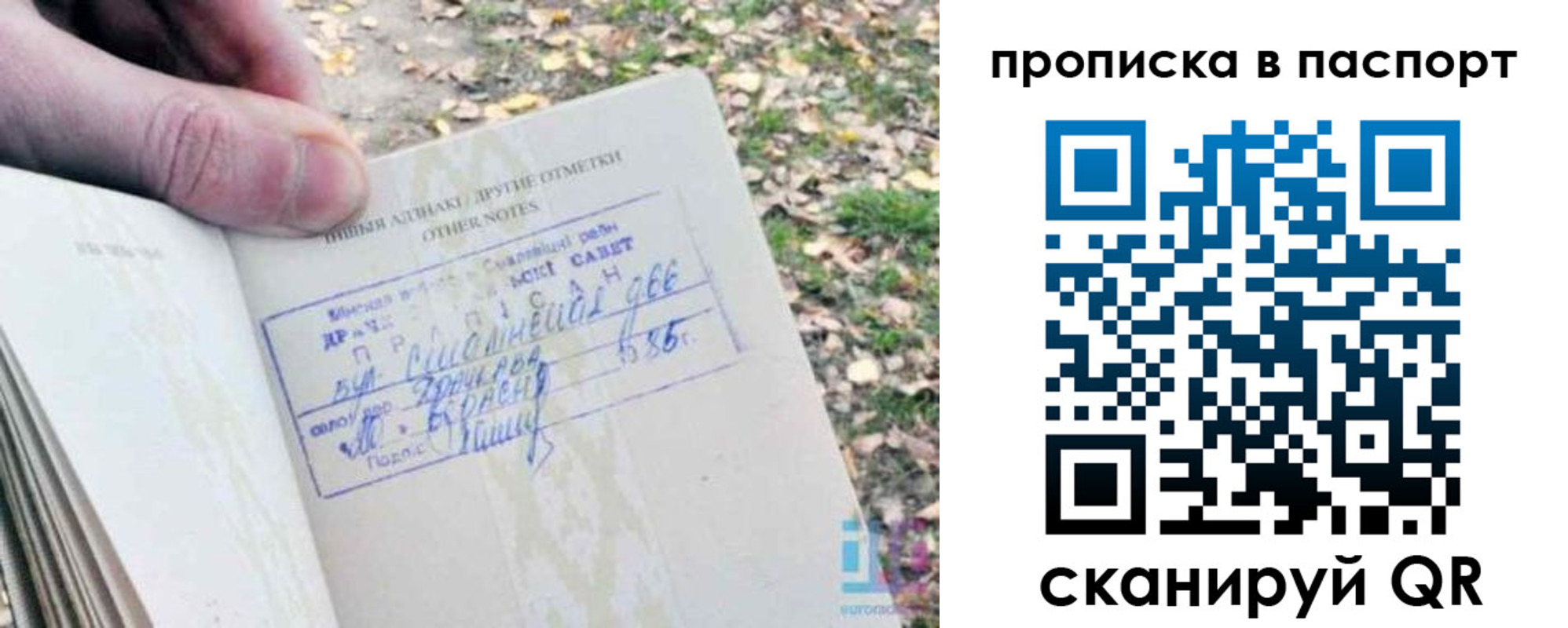купить прописку в Малой Вишере